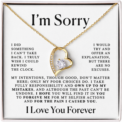 Apology Gift For Loved Ones – “I’m Sorry” Heart Necklace